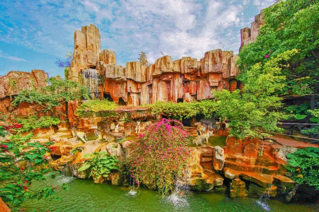 庭畅玩套票连续3天可凭票免费入园!超多主题随便玩!CQ9电子平台网站年度最抵!99元抢长鹿景区4人家(图5) 庭畅玩套票连续3天可凭票免费入园!超多主题随便玩!CQ9电子平台网站年度最抵!99元抢长鹿景区4人家(图5)